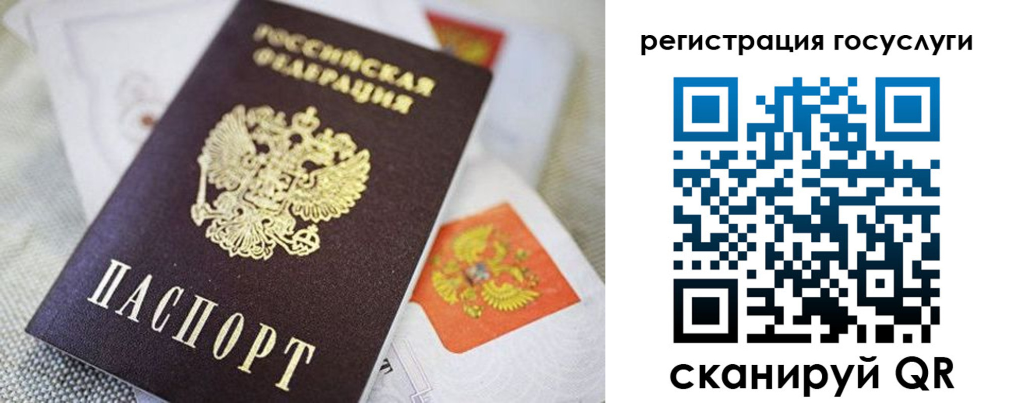 прописка паспорт в Рязанской области